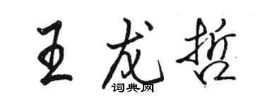 駱恆光王龍哲行書個性簽名怎么寫