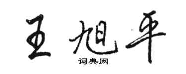 駱恆光王旭平行書個性簽名怎么寫