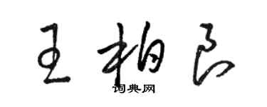 駱恆光王柏良草書個性簽名怎么寫