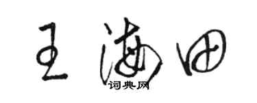 駱恆光王海田草書個性簽名怎么寫