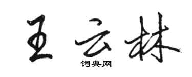 駱恆光王雲林行書個性簽名怎么寫