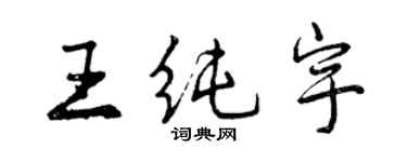 曾慶福王純宇行書個性簽名怎么寫