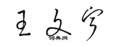 駱恆光王文寧草書個性簽名怎么寫