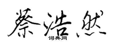 王正良蔡浩然行書個性簽名怎么寫