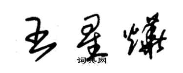 朱錫榮王星燁草書個性簽名怎么寫