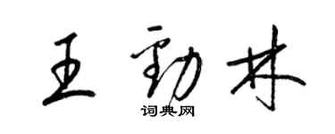 梁錦英王勁林草書個性簽名怎么寫