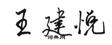 駱恆光王建悅行書個性簽名怎么寫