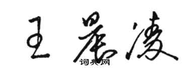 駱恆光王晨凌草書個性簽名怎么寫