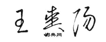 駱恆光王爽陽草書個性簽名怎么寫