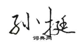 駱恆光孫挺行書個性簽名怎么寫