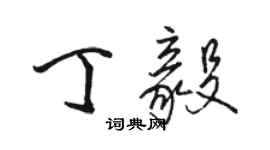 駱恆光丁毅行書個性簽名怎么寫