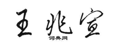 駱恆光王兆宣行書個性簽名怎么寫