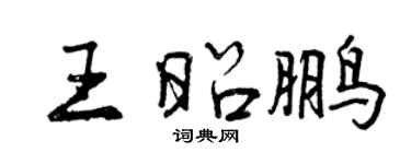 曾慶福王昭鵬行書個性簽名怎么寫