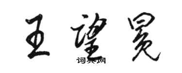 駱恆光王望冕行書個性簽名怎么寫