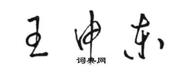 駱恆光王申東草書個性簽名怎么寫