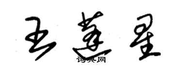 朱錫榮王蓬星草書個性簽名怎么寫