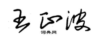 朱錫榮王正波草書個性簽名怎么寫