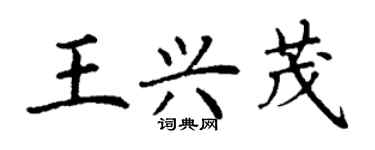 丁謙王興茂楷書個性簽名怎么寫