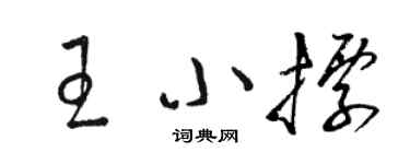 駱恆光王小標草書個性簽名怎么寫