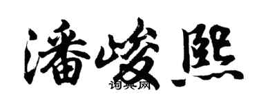 胡問遂潘峻熙行書個性簽名怎么寫