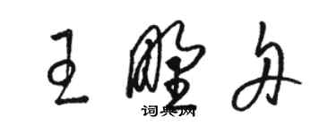 駱恆光王野舟草書個性簽名怎么寫