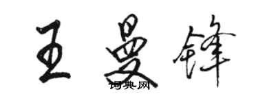 駱恆光王曼鋒行書個性簽名怎么寫