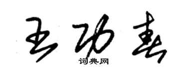 朱錫榮王功春草書個性簽名怎么寫