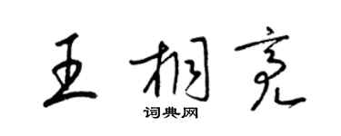 梁錦英王桐亮草書個性簽名怎么寫