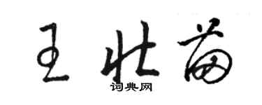 駱恆光王壯苗草書個性簽名怎么寫