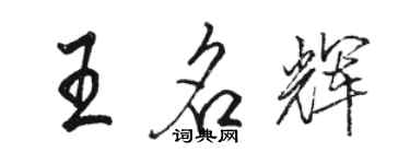駱恆光王名輝行書個性簽名怎么寫