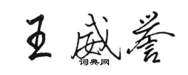 駱恆光王威譽行書個性簽名怎么寫