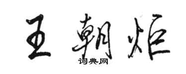 駱恆光王朝炬行書個性簽名怎么寫