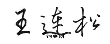 駱恆光王連松行書個性簽名怎么寫