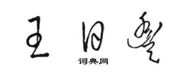 駱恆光王日豐草書個性簽名怎么寫