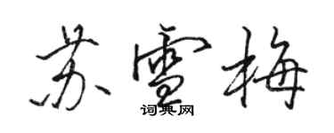 駱恆光蘇雪梅行書個性簽名怎么寫