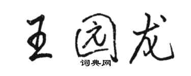 駱恆光王園龍行書個性簽名怎么寫