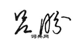 駱恆光呂盼草書個性簽名怎么寫