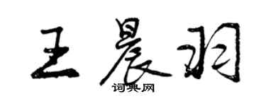 曾慶福王晨羽行書個性簽名怎么寫