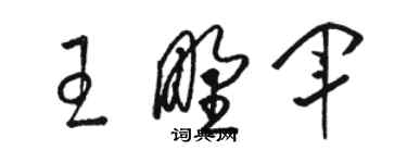 駱恆光王野軍草書個性簽名怎么寫