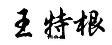 胡問遂王特根行書個性簽名怎么寫