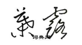 駱恆光葉露草書個性簽名怎么寫