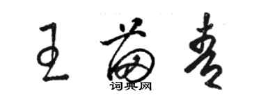 駱恆光王苗青草書個性簽名怎么寫