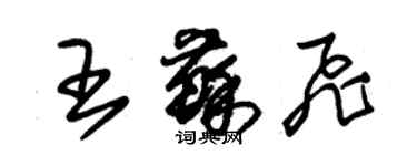 朱錫榮王蘇飛草書個性簽名怎么寫