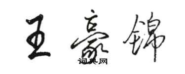 駱恆光王豪錦行書個性簽名怎么寫