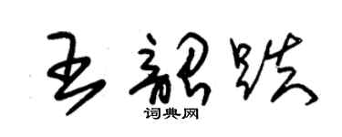 朱錫榮王韶跌草書個性簽名怎么寫