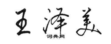 駱恆光王澤美行書個性簽名怎么寫