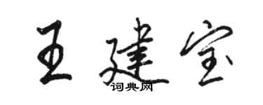 駱恆光王建寶行書個性簽名怎么寫