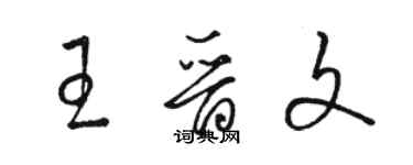 駱恆光王晉文草書個性簽名怎么寫