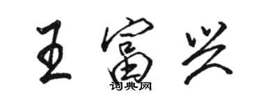 駱恆光王富興行書個性簽名怎么寫