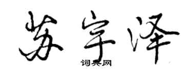 曾慶福蘇宇澤行書個性簽名怎么寫